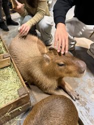 -Zoolung Zoolung动物主题公园(海信广场店)