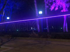 -枫花园汽车电影院(朝阳公园店)