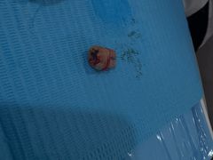 -土豆口腔(凤凰北总店)