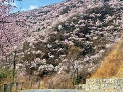 -妙峰山风景名胜区