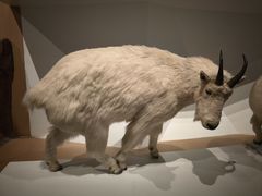 -陕西自然博物馆