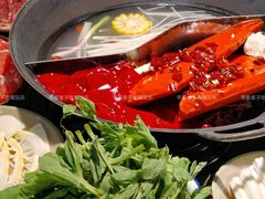 -阳阳老火锅(小南门店)