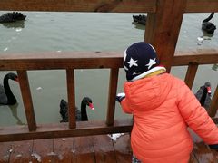 -溱湖国家湿地公园