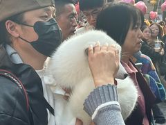 -巴公房子