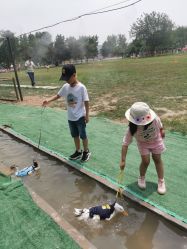 -上美四季动物农场