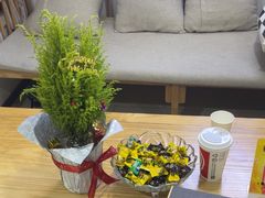 -张钰强中医正骨推拿连锁(华发商都店)