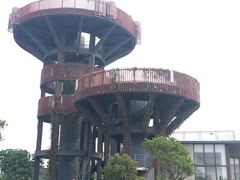 -芒洲湿地公园