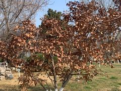 -山东政协大厦维景大酒店