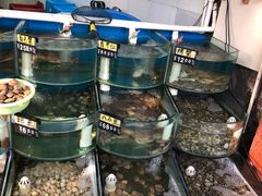 水产区-烁佳海鲜大馅饺子