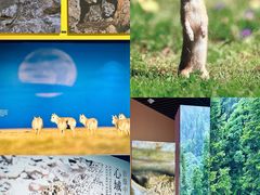 -中国湿地博物馆