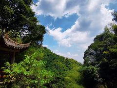 -莫干山风景区