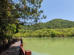 -广州白江湖森林公园