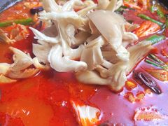 -双廊杨记石锅鱼石锅牛肉