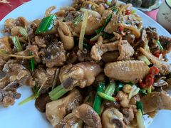 现杀果园鸡—黄焖鸡-生态苑农庄(十里画廊遇龙河店)