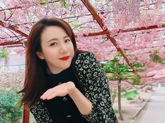 -嘉定紫藤园