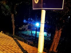 -武汉大学-樱园