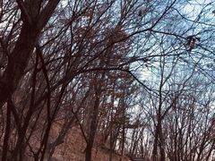 -帽儿山国家森林公园