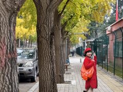 -三里屯东五街银杏大道