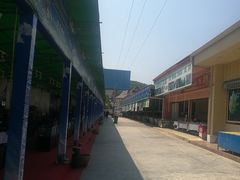 -打洛口岸