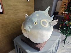 -肆月河豚·新淮扬(金融街店)