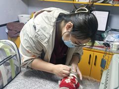 -渲嗳动物医院(异宠·复杂内科转诊中心·玖洲道富华里分院)