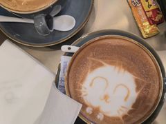 -飞行喵MR PILOT|猫舍·猫咖(静安大融城店)