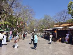 -翠湖公园