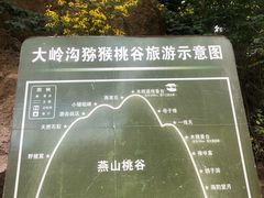 -大岭沟猕猴桃谷风景区