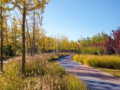 -羊亭河湿地公园