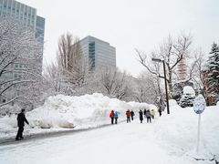 门面-北海道厅旧本厅舍(旧本庁舎)