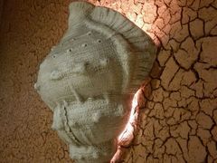 -大碗厨 25年老字号 现炒湘菜(四季天地店)