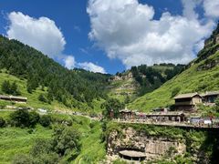 -芦芽山旅游度假区