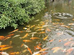 -厦门日月谷温泉渡假村