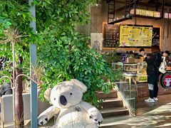 -了不起的考拉咖啡店(高新店)