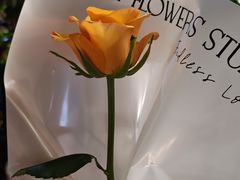 -FEI FEI FLOWER鲜花店·气球派对·宝宝宴布置(虹口德必运动Loft店)