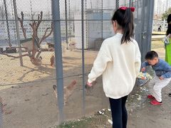 -前小桔亲子创意农场·草莓采摘·露营烧烤