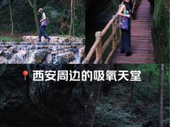 -牛背梁国家森林公园