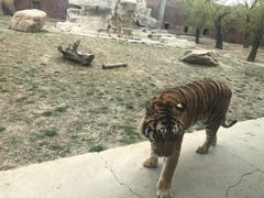 -齐齐哈尔龙沙动植物园