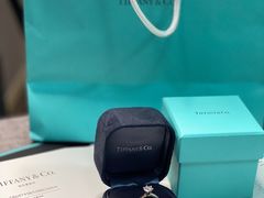 -Tiffany & Co.蒂芙尼
(南京德基广场店)