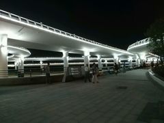 -演武大桥观景平台