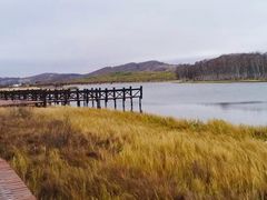 -塞罕坝国家级自然保护区