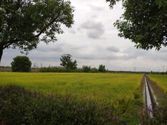 -嘉北郊野公园