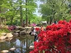 -上海共青森林公园