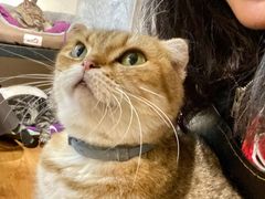 -萌喵咖啡屋(人民东路4号口M16商铺店)
