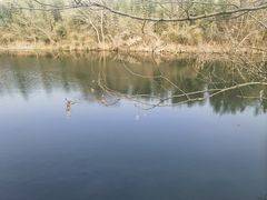 -陆羽泡的茶(集散中心店)