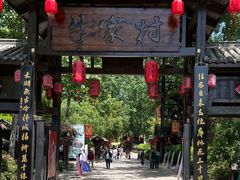 -合肥滨湖国家森林公园