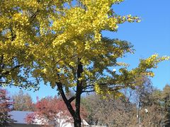 -岳麓山风景名胜区