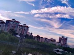 -映月湖中央公园