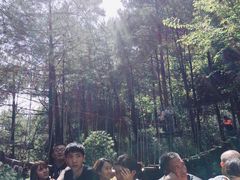 -梦幻奥陶纪景区