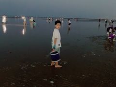 -刘家湾赶海园
